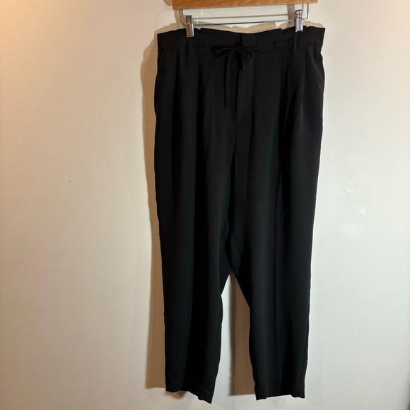 MADEWELL Sz 14 Drapey Paper Waist Elastic and Drawstring Pockets Slinky Pants - Picture 3 of 14